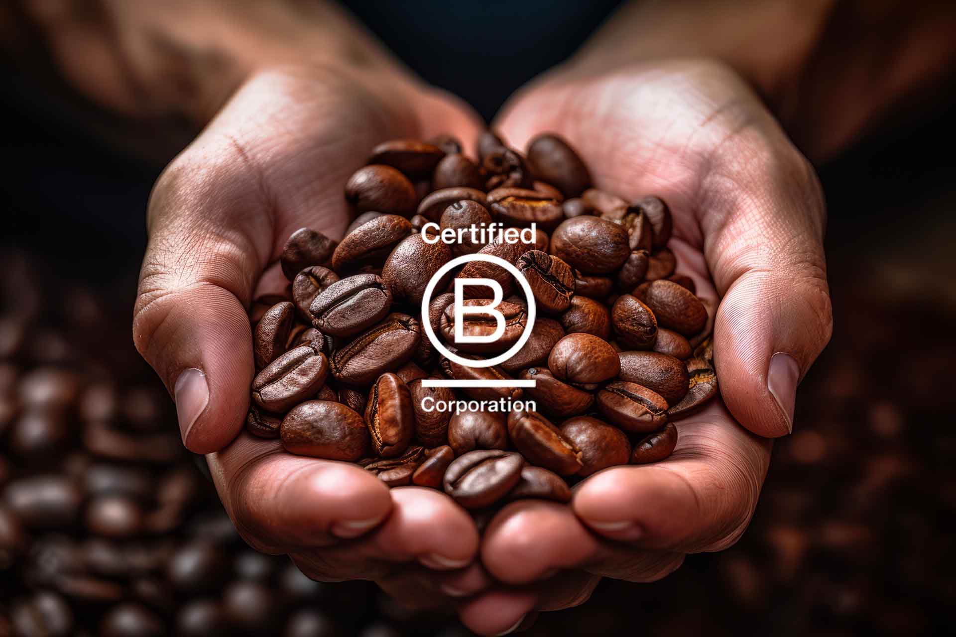 I benefici straordinari di bere caffè da un'azienda B-Corp